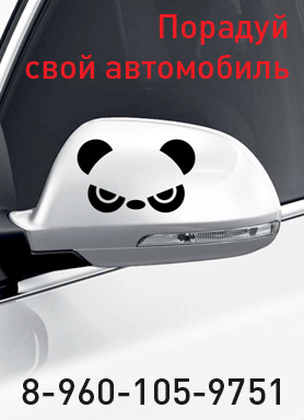 Автоаксессуары оптом