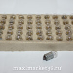 Автолампа T3W/1W (BA9s) с цоколем 12V Брест/100/10000