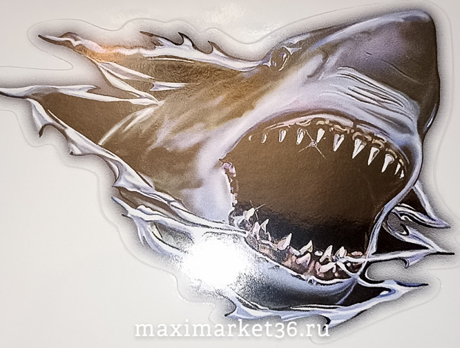 Наклейка "АКУЛА №2" 10х11см 47072 (5176)