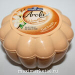 Освежитель воздуха-ароматизатор GEL FRESH mix (РАКУШКА) Ваниль