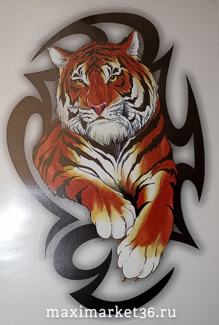 Наклейка "Тигр-tatoo№2" наружняя полноцветная 17,5х12 52328 (05720)