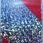 Наклейка "НЕГАБАРИТНЫЙ ГРУЗ"Отражатель-зебра 5х38 точки цвет серебро голографич ПАРА 23076 (0504)